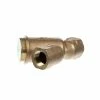 Champion 110768 Line Strainer