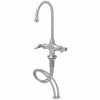 T&S Brass And Bronze Works Eversteel By T&S S-0300 Stainless Steel Single Hole Base Swivel Gooseneck Double Pantry Faucet